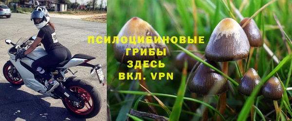 соль ск Ладушкин