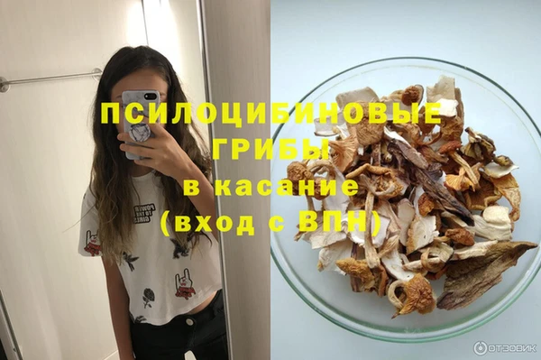 соль ск Ладушкин