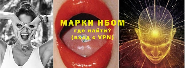 соль ск Ладушкин