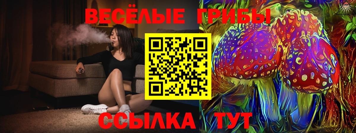 Галлюциногенные грибы Cubensis  Вход с VPN  Хасавюрт 